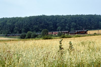 Hier klicken