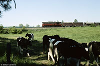 Hier klicken